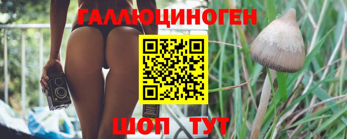 Воронеж  Псилоцибиновые грибы прущие грибы  Вход с VPN 